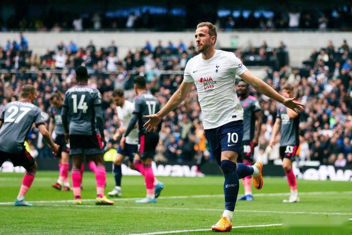 双塔的高度 双塔的高度